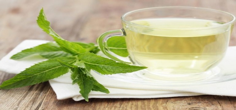 Ramuan Herbal Daun Mint Dengan Rasa yang Tidak Pahit