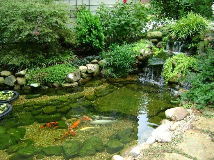 Tips Mudah dan Tepat Atasi Kebocoran Kolam Ikan