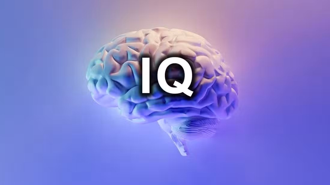 Banyak yang Salah! Inilah Cara Benar Menjawab Tes Online IQ